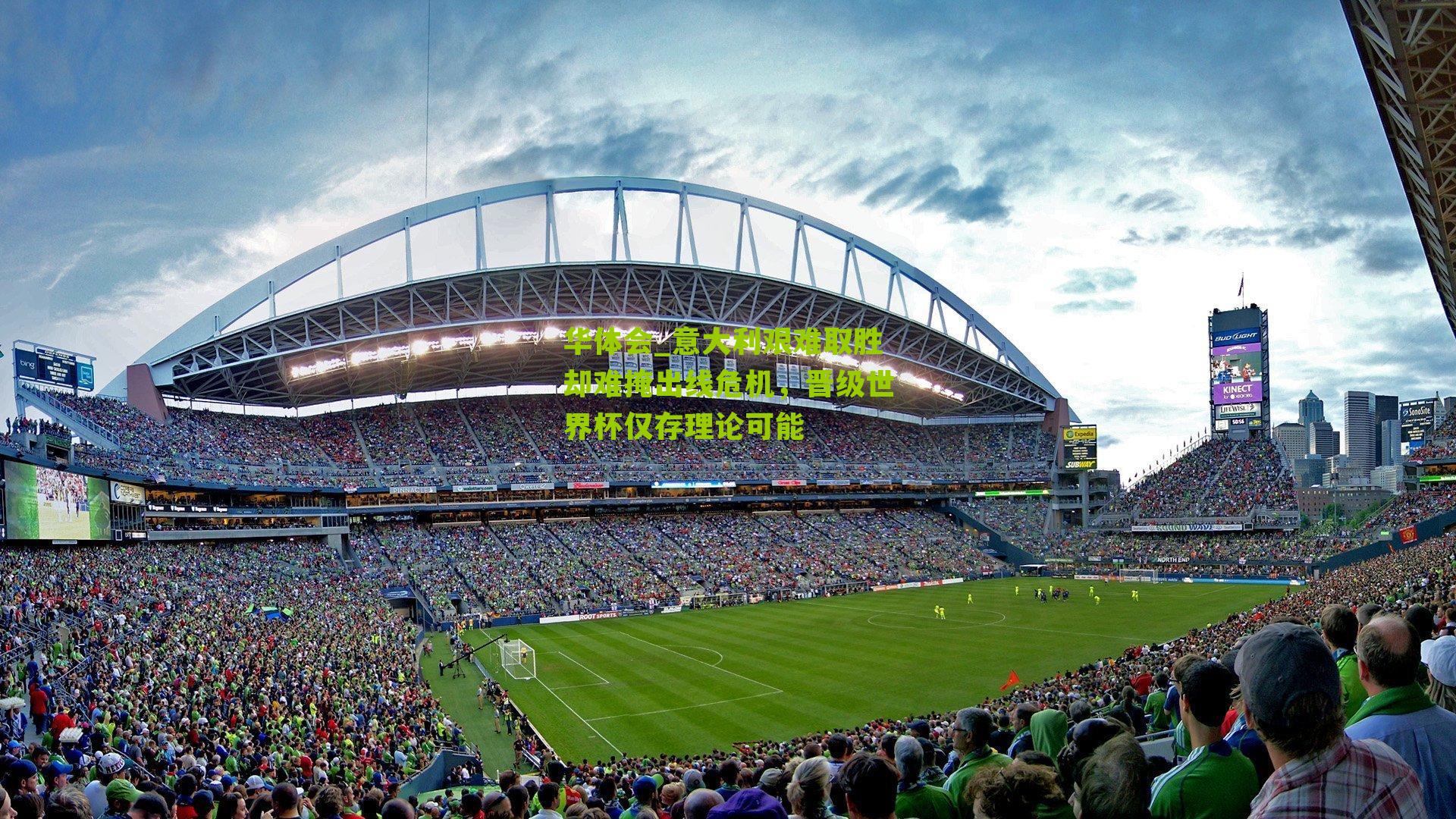 意大利艰难取胜却难掩出线危机,晋级世界杯仅存理论可能